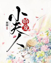 相门娇宠小夫人