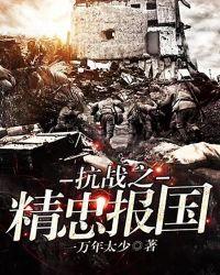 抗战之精忠报国一万年太少