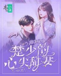 枕上婚宠墨少请节制