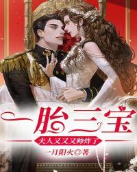 一胎三宝夫人又又又帅炸了完整版