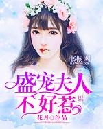 盛宠夫人不好惹冷子尘念加姿