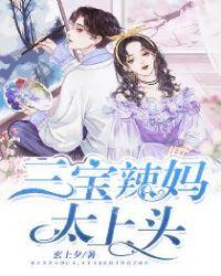 三宝辣妈太上头书包网