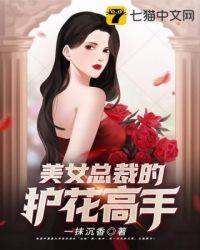 美女总裁的护花高手沈浪
