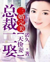 总裁二娶天价前妻书评
