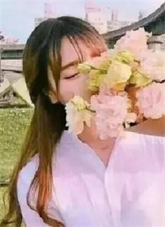 贺烊沈修竹