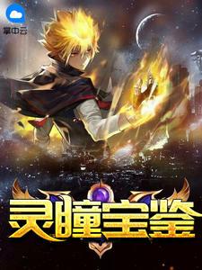 灵瞳宝鉴一品肉包TXT