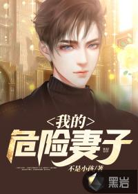 我的危险妻子最后的结局什么意思