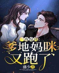 一夜惊喜爹地妈咪又跑了全文兔费阅读