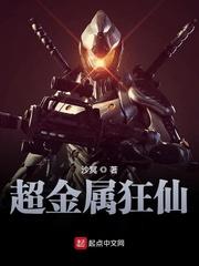 金属狂潮百度百科