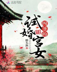 四爷的试婚宫女txt