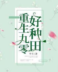 重生九零种田去