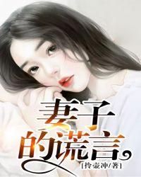 妻子的谎言韩剧电影