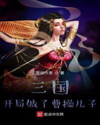 三国开局做了曹操儿子 蔡夫人