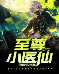至尊小医仙第一章