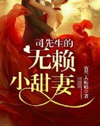 司先生别来无恙全文免费阅读