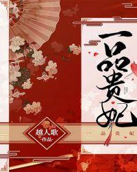 一品贵妃顾昕讲的什么
