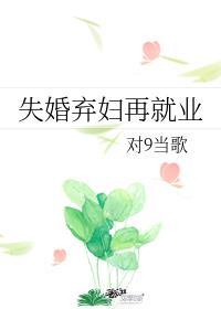 失婚弃妇再就业 对9当歌全文阅读