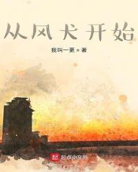 从风犬开始的影视
