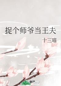 捉个师爷当王夫人漫画