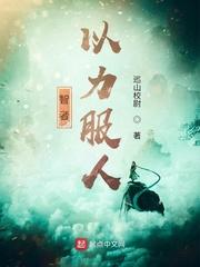 智者以力服人优书