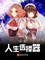 我的人生选择500字