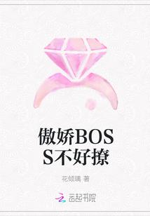 这个反派boss不好撩