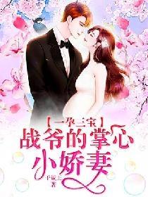 战霆琛苏安安苏宝儿