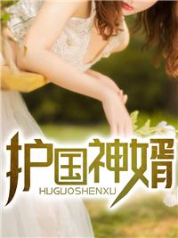 护国神婿txt