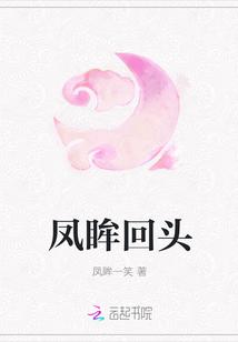 凤回头的讲解