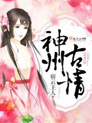 神州殃情录阅读