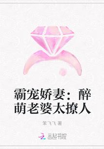 霸宠男妻——醉荼岚影