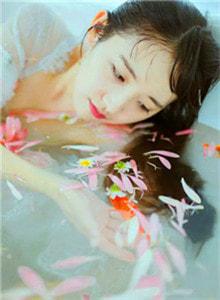 叶愿安陆深免费阅读