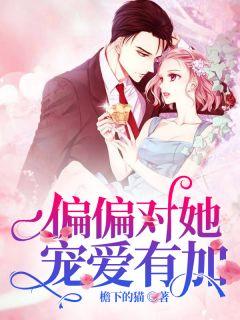 女主沈荔男主顾停