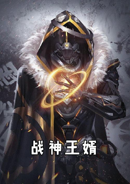 战神王婿陈苍生目录
