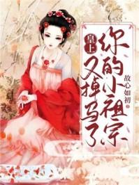 皇上的小萌宠全集