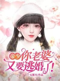 帝少你老婆又跑了动漫
