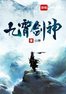 九霄剑神林澈