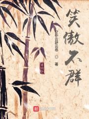 笑傲不群 顶点