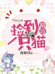 女孩在路边捡到一只猫