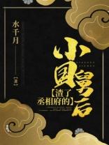 渣了丞相府的小国舅后tvt