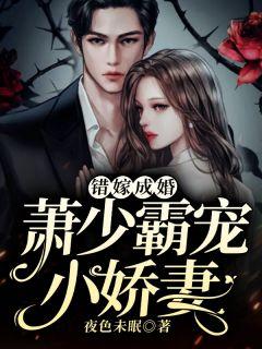 错嫁成婚 萧少
