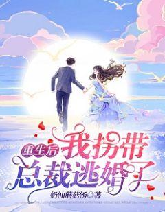 重生后我拐带总裁逃婚了