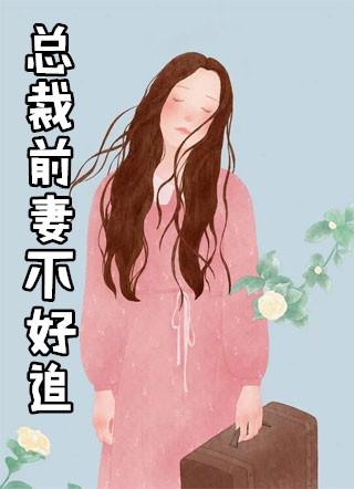 总裁前妻不好追凌北辰苏芫