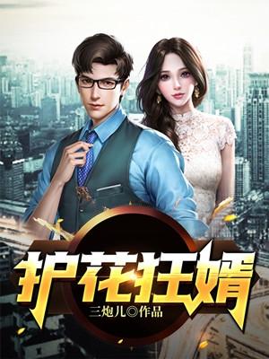 护花狂婿辛阳老婆