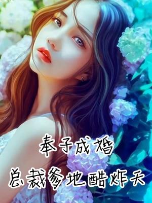 奉子成婚总裁爹地酷炸天第49章