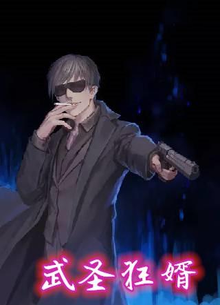 透视武圣叶狂