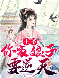 女主沈初九男主容渊止的
