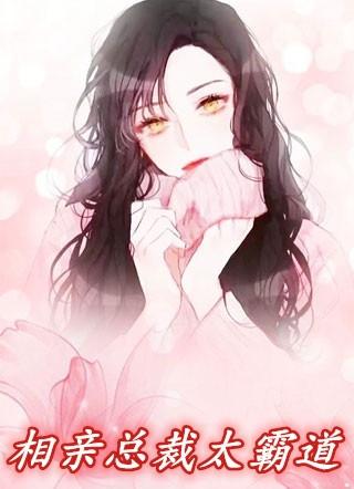 与霸道女总裁的相亲乌龙阅读