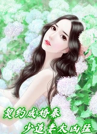 契约成婚宠妻30天