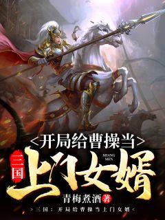 三国开局给曹操当上门女婿 第318章
